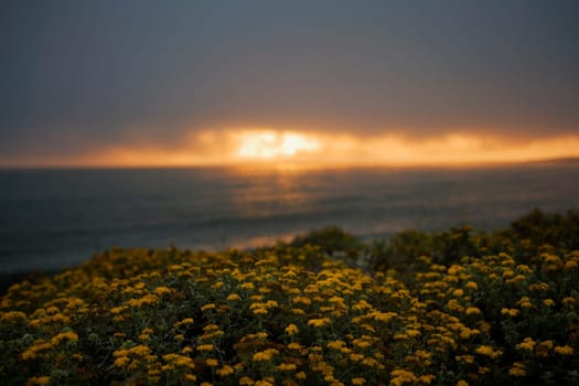 Panoramic view of the Pacific Ocean