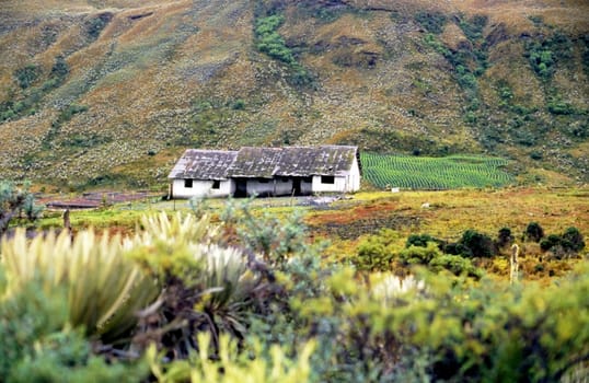High angle view of a house in a landscape