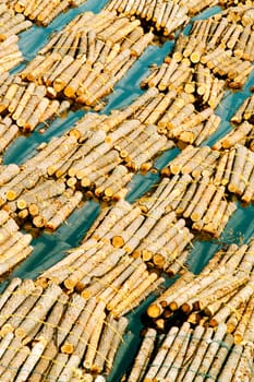 High angle view of logs floating on water, Baltic Sea, Finland