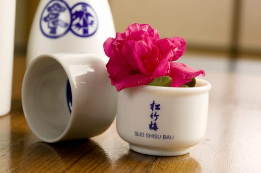 Close-up of a flower in a cup