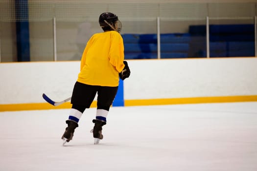 Rear view of an ice hockey player playing ice hockey