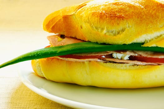 Close-up of a sandwich on a plate