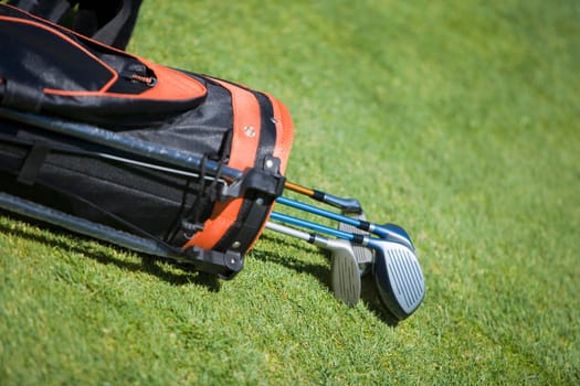 Close-up of golf clubs in a golf bag