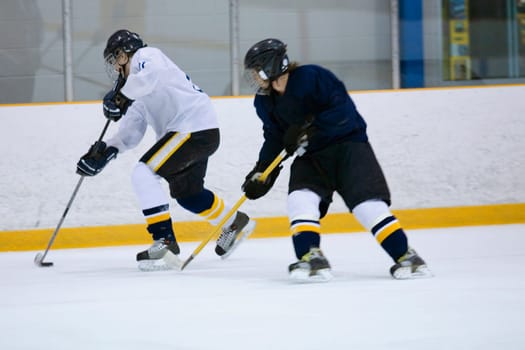 Two ice hockey players playing ice hockey