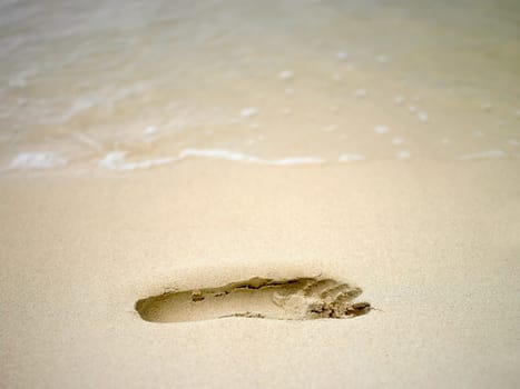 Close-up of a footprint in the sand