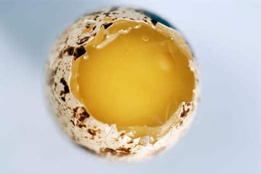 High angle view of a broken egg