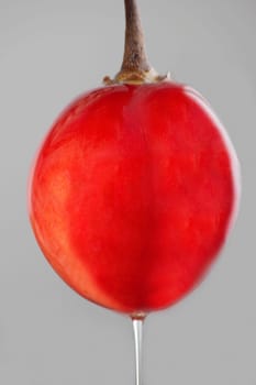 Close-up of a tamarillo