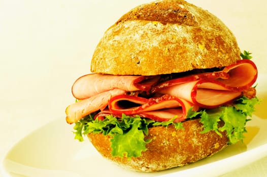 Close-up of a roast beef burger in a plate