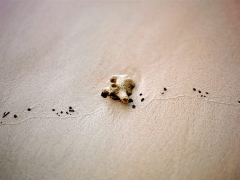 High angle view of a stone in the sand