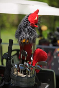 Close-up of golf clubs in a golf bag
