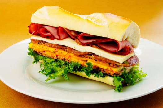 Close-up of roast beef and cheese sandwich on a plate