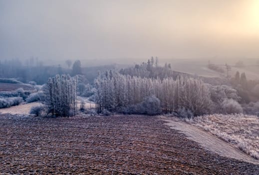 Winter misty and foggy country landscape with a tree silhouette on a fog at sunrise, rural countryside, Vysocina region Czech Republic
