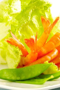 Close-up of shrimp and vegetable salad