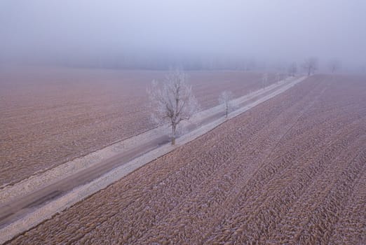 winter road, landscape covered by morning frost, top down aerial view, landscape. Simplicity concept landscape with diagonal composition.