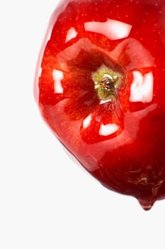 Close-up of a wet apple
