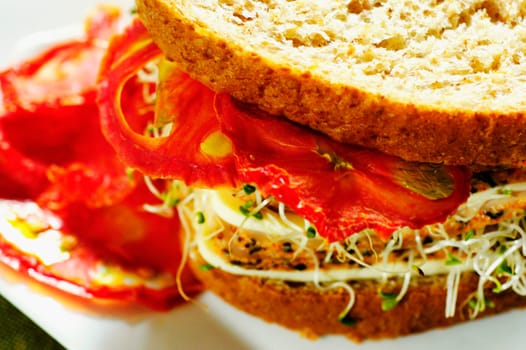 Close-up of a sandwich
