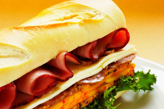 Close-up of roast beef and cheese sandwich on a plate