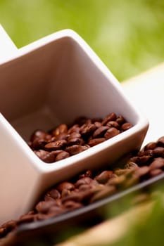 Low angle view of coffee beans in a cup