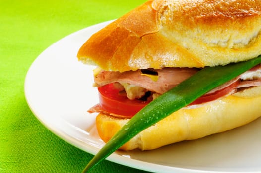 Close-up of a sandwich on a plate
