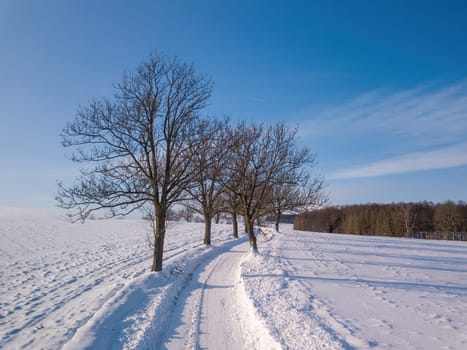 Winter landscape with rural road on a sunny frosty day. Czech Republic, Vysocina Highland region, Europe