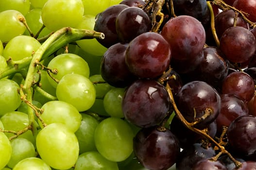 Close_up of grapes