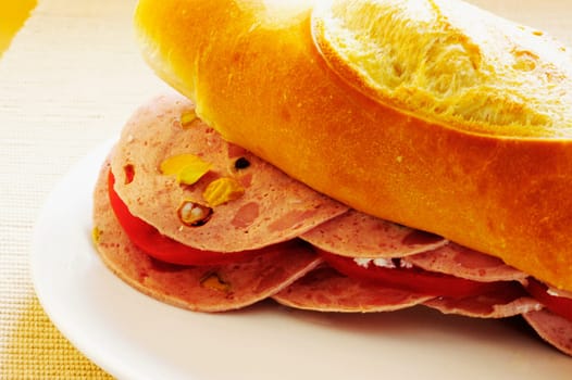 Close-up of a sandwich on a plate