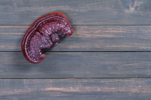 Close up of Ling zhi mushroom, Ganoderma lucidum mushroom on wood table
