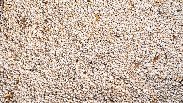 Rocks Pebbles Stone. Pebbles, rocks, and stones as natural decoration in the garden. Zen concept idea