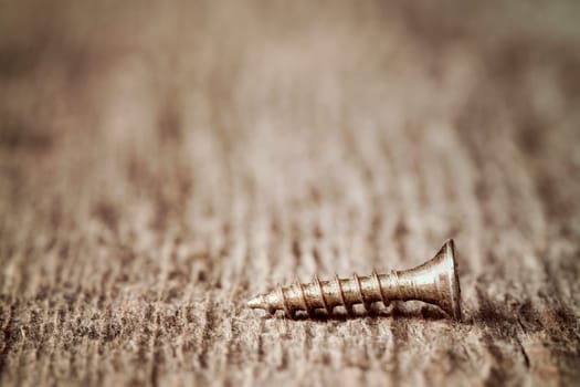 Macro shot of one screw on a wooden background