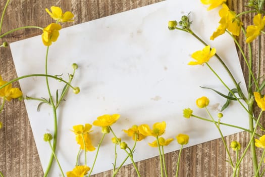 Yellow wildflowers and blank card for copy-space