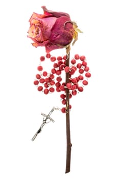 Catholic rosary and dry rose, isolated on white background