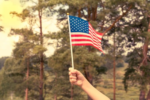Kid holding small US flag on the wind outdoor