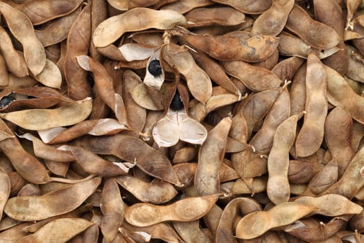 Soybeans pod, harvest of soy beans background