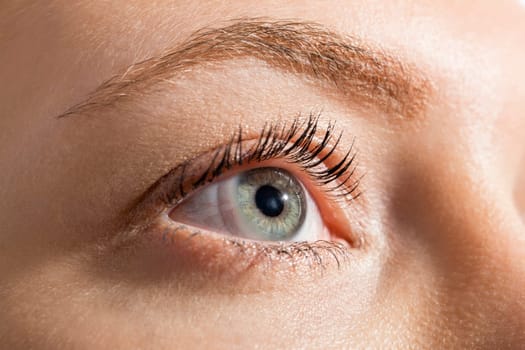 Close-up of a female face with eye lip nose and eyebrows isolated on white background