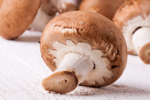 Fresh brown stone mushrooms as a close-up on a rustic white wooden board