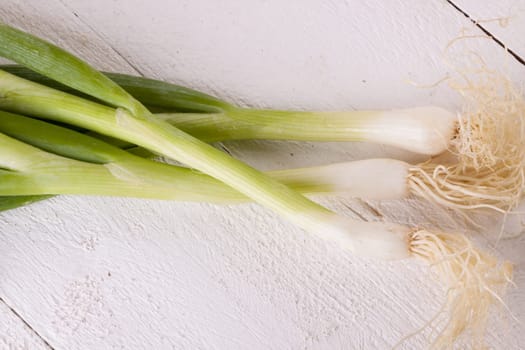 Bunch fresh leek onions spring onions with root on a rustic white wooden board
