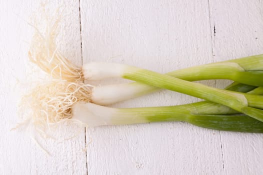 Bunch fresh leek onions spring onions with root on a rustic white wooden board