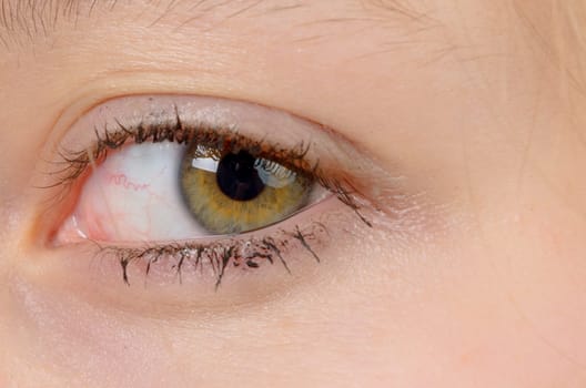 close-up of the green eye of a girl