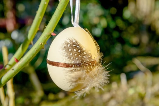 Easter egg hung in the branches in the garden