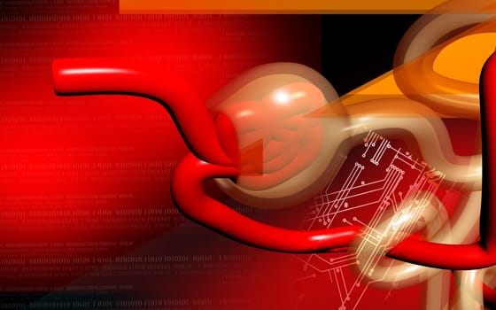Digital illustration of nephron in colour background