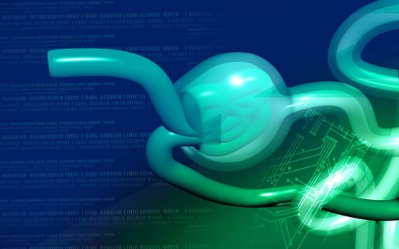 Digital illustration of nephron in colour background