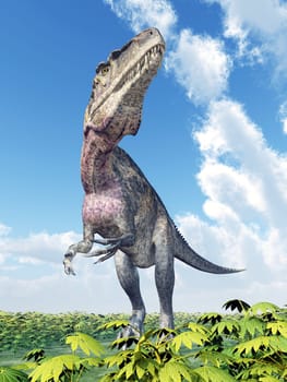 Computer-generated 3D illustration with the dinosaur Acrocanthosaurus