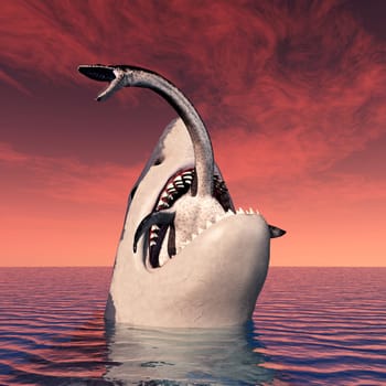 Computer-generated 3D illustration with a great white shark on the hunt