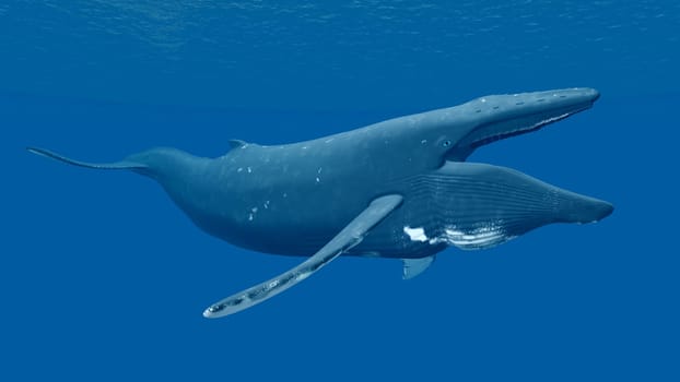 Computer-generated 3D illustration with a humpback whale