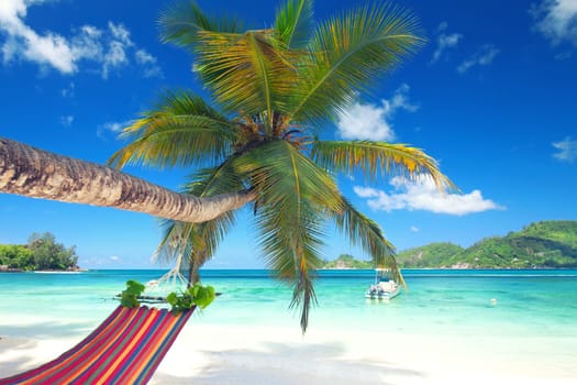 chilling on the beach