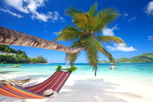 chilling on the beach