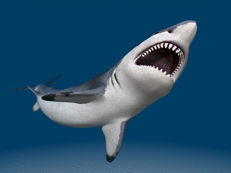 Computer-generated 3D illustration with a great white shark