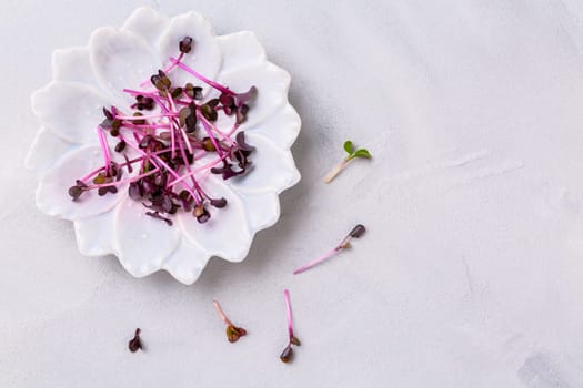 Purple Shiso Cress on grey plate