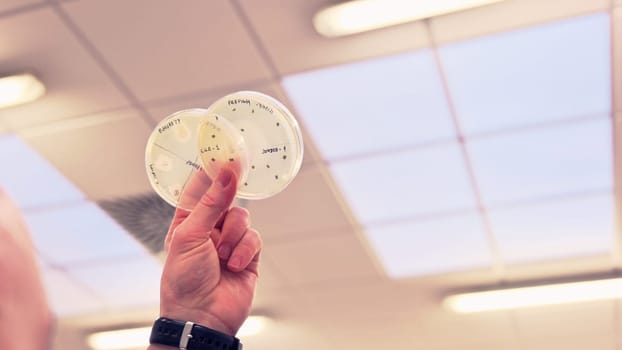 a scientist working in his lab with samples and researching