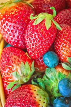 a brightly colored fruits to use as an example